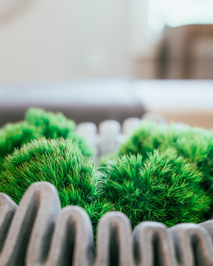 1281 # 2 E Main Street Blue Ridge, GA 30513 - Photo 33 of 49