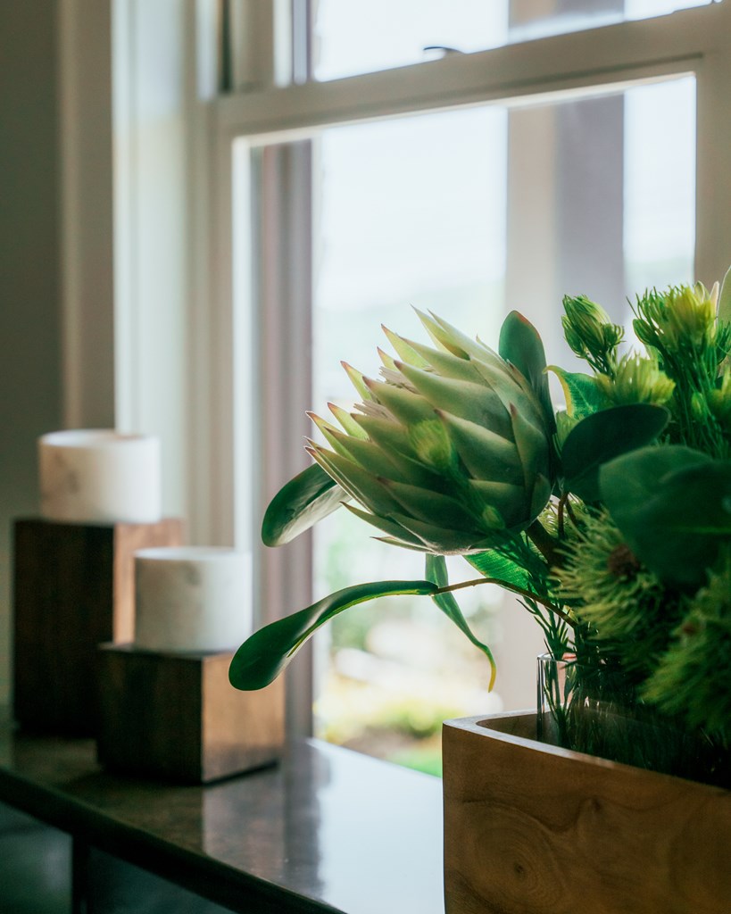 1281 # 2 E Main Street Blue Ridge, GA 30513 - Photo 47 of 49