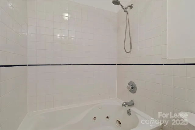 a bathroom with a bath tub and a shower
