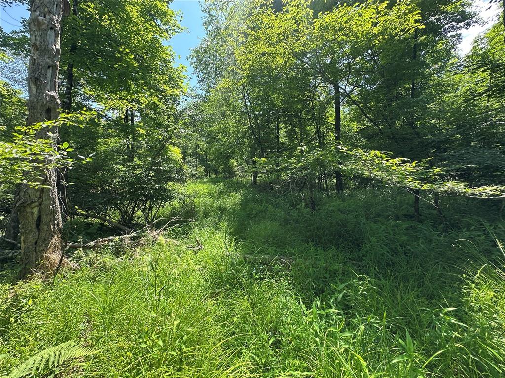 0 Cooperstown Road Cooperstown, PA 16317 - Photo 16 of 23