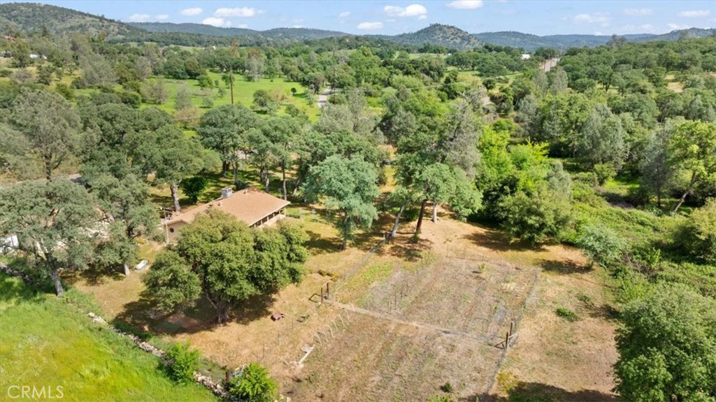 112 Los Verjeles Road Bangor, CA 95901 - Photo 10 of 48 a view of a yard with a tree