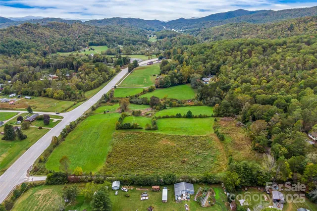 a view of a lush green hillside and houses