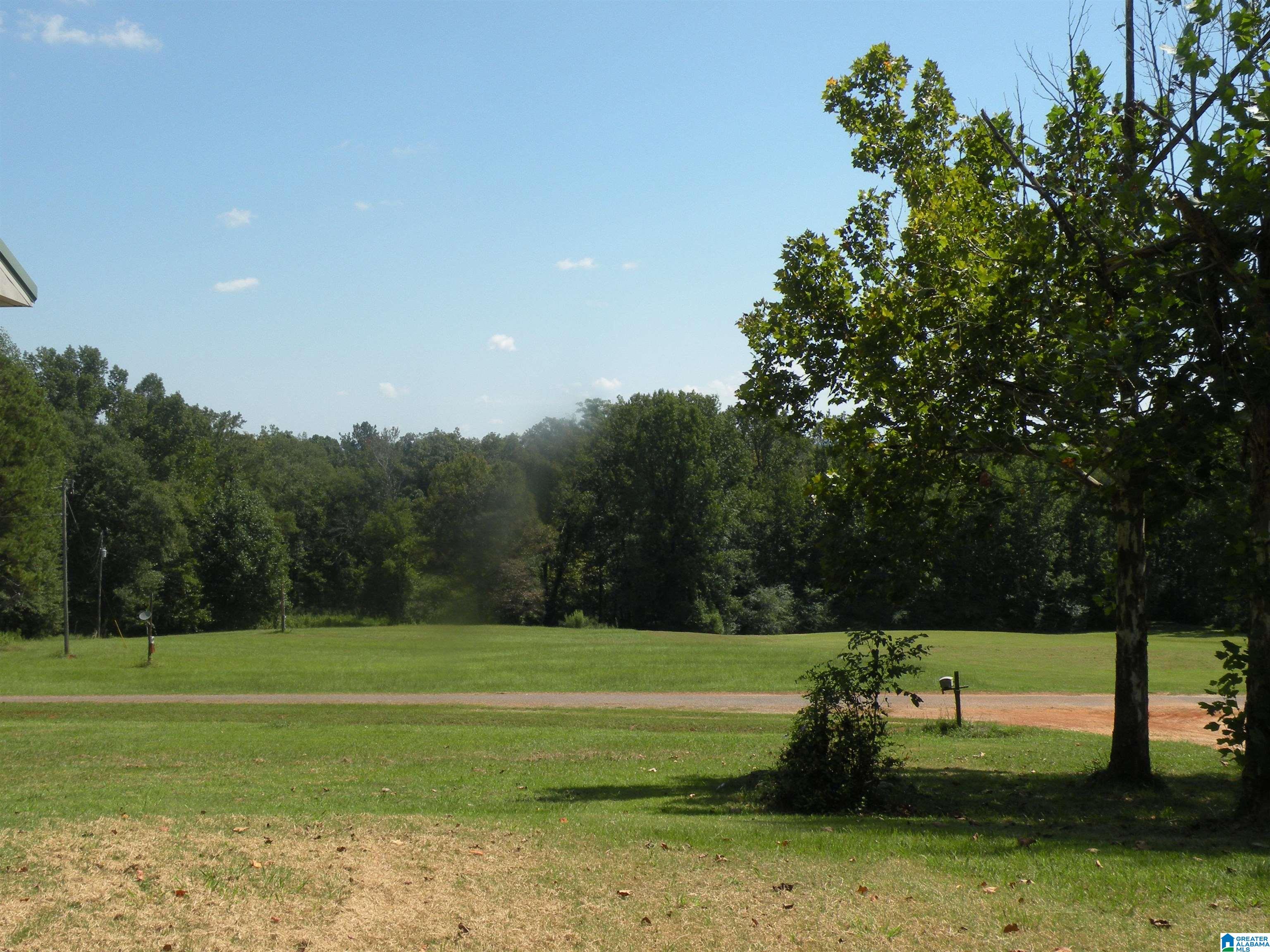 336 Blue Bird Lane Alpine, AL 35014 - Photo 31 of 32