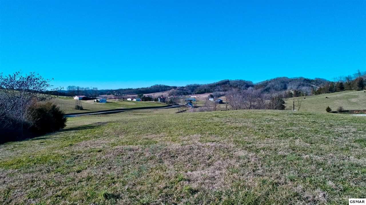 64 Upper West Road Parrottsville, TN 37843 - Photo 16 of 34 Gallery Image 16