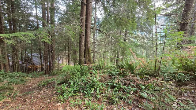 a backyard of a house with lots of green space