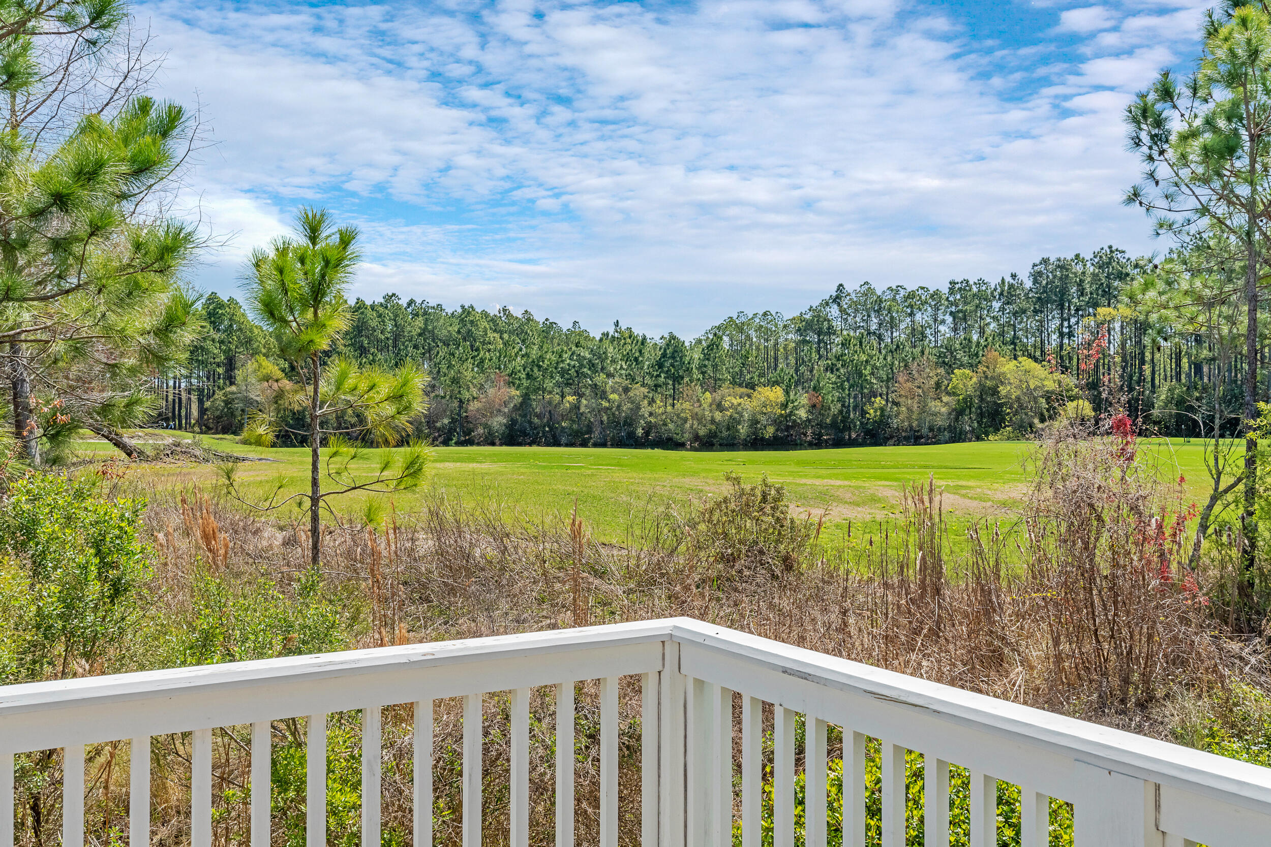 25 Golden Bell Ct Inlet Beach, Unit 25B Inlet Beach, FL 32461 - Photo 3 of 48 a view of a garden and lake
