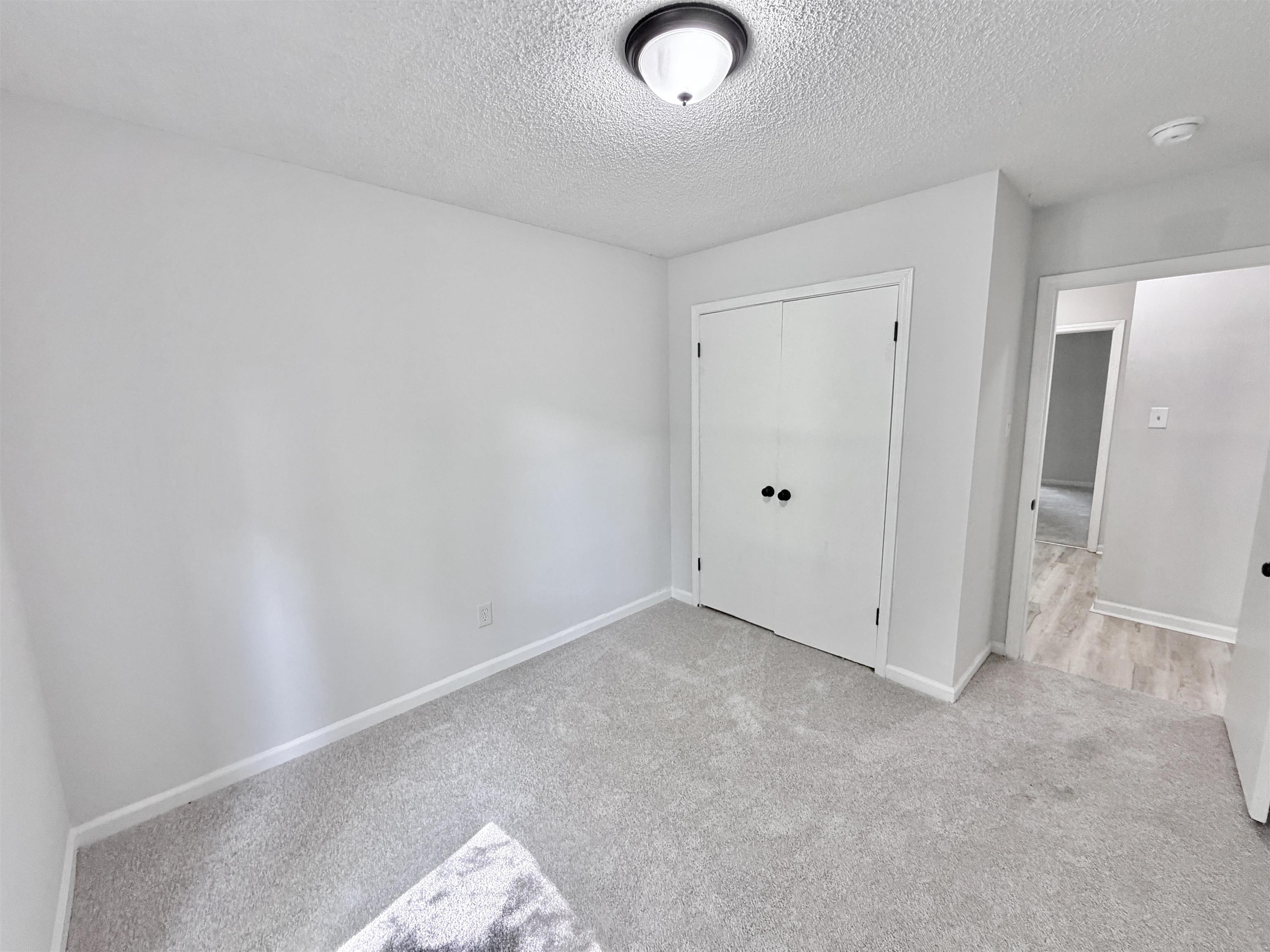 4278 Auburn Road Memphis, TN 38116 - Photo 19 of 28 Light gray carpeted room with white walls, a flush-mount ceiling light, and a double-door closet with black hardware