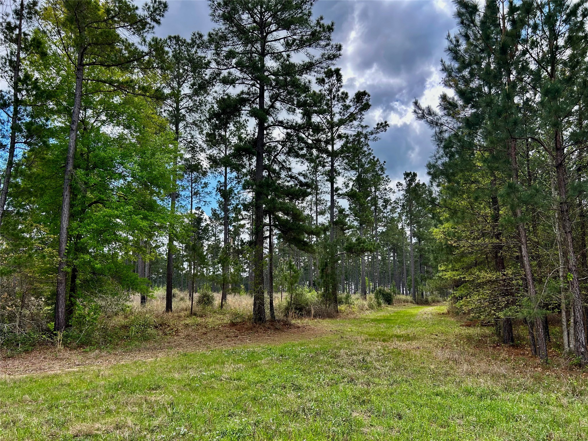 0 Na Alto, TX 75925 - Photo 9 of 20