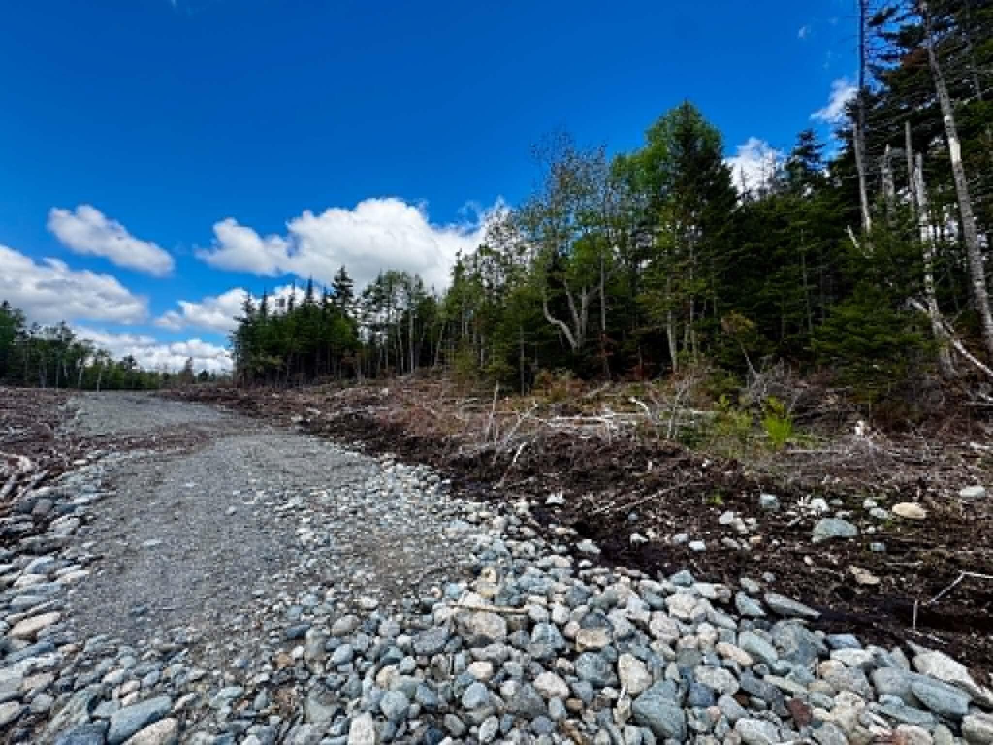 Lot 49 Port Road Machiasport, ME 04655 - Photo 12 of 14 11