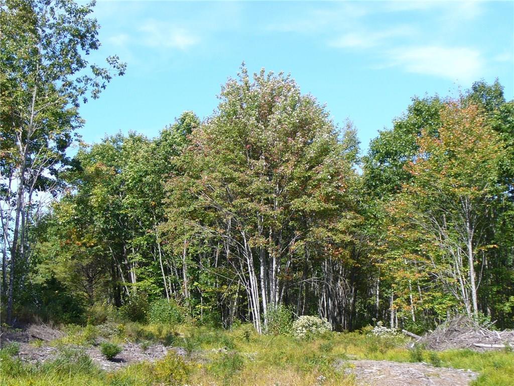 Lot 3-r-30 Lot 3-r-30 Main Road Georgetown, ME 04548 - Photo 4 of 4 Photo