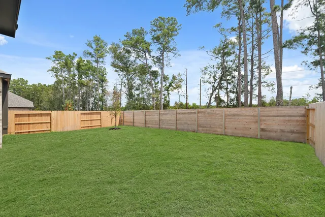 a view of a back yard