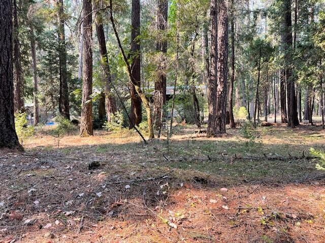 6392 Pleasant Creek Road Rogue River, OR 97537 - Photo 12 of 19 IMG_6856