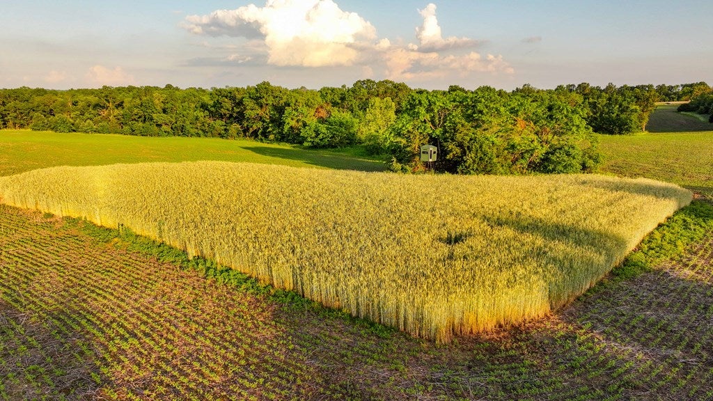 D218 County Road Armstrong, MO 65230 - Photo 19 of 73 Gallery Image 19
