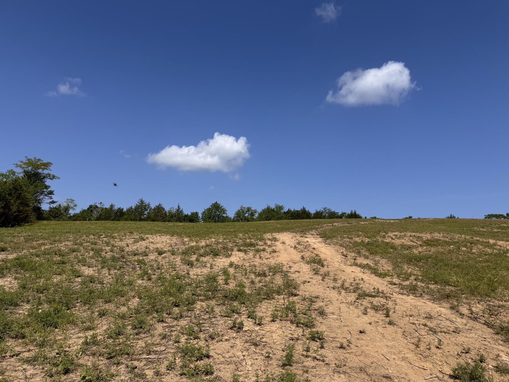 0 Pete Alsup Road Lascassas, TN 37085 - Photo 39 of 40 Gallery Image 39