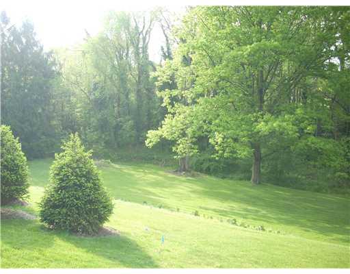 144 Thompsonville Road Canonsburg, PA 15317 - Photo 17 of 18 Yard/Garden.