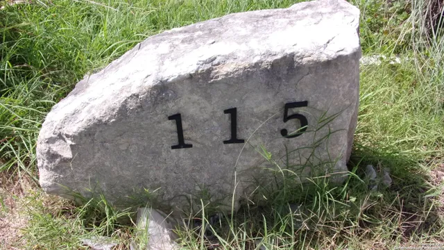 a view of a bird bath