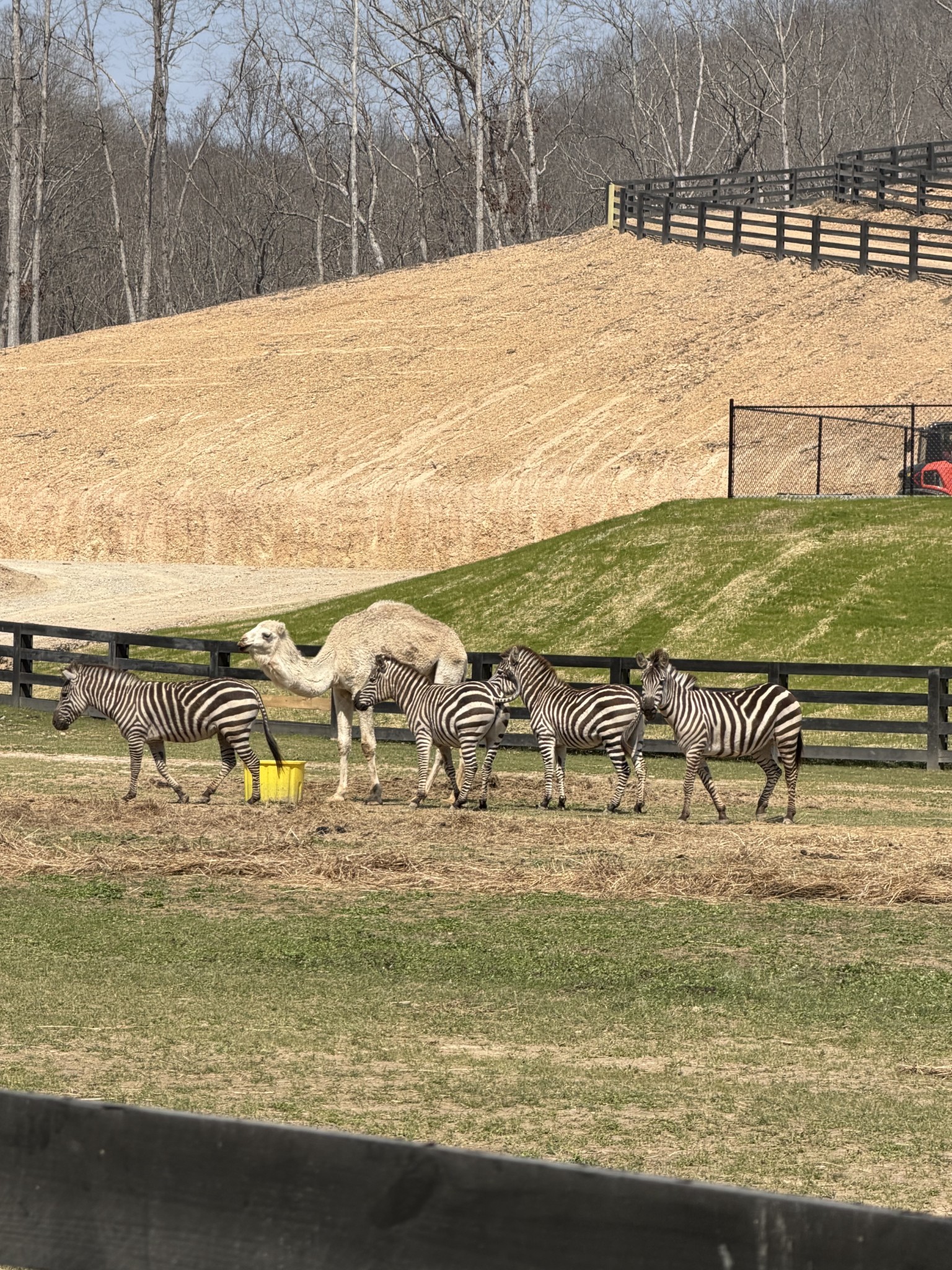 0 Axis Ridge Joelton, TN 37080 - Photo 12 of 19 a view of ocean view