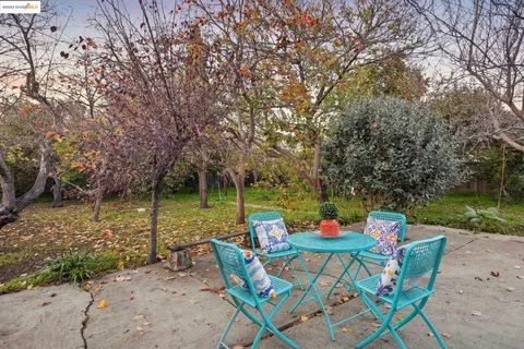 a view of a tree in the middle of a forest