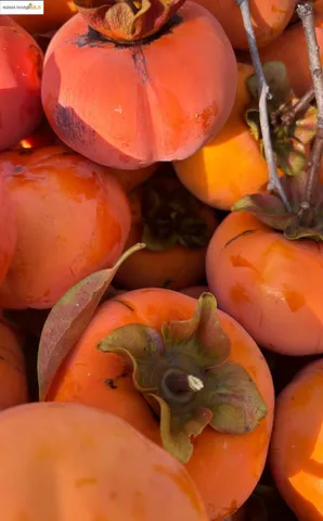 $999,000 | 348 Dowling Boulevard, San Leandro, CA 94577