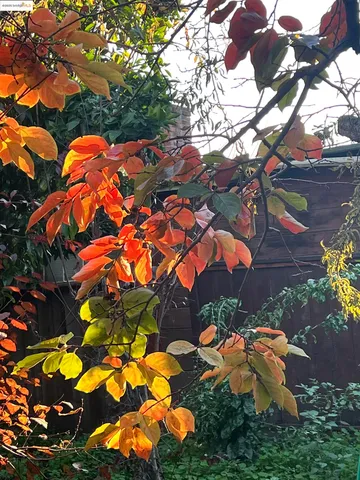 $999,000 | 348 Dowling Boulevard, San Leandro, CA 94577