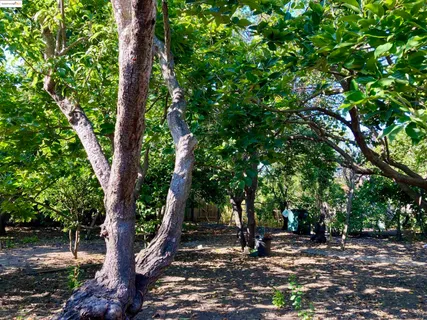 $999,000 | 348 Dowling Boulevard, San Leandro, CA 94577