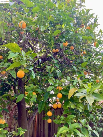 $999,000 | 348 Dowling Boulevard, San Leandro, CA 94577