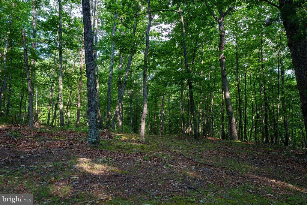 Pack Horse Road Winchester, VA 22603 - Photo 14 of 15