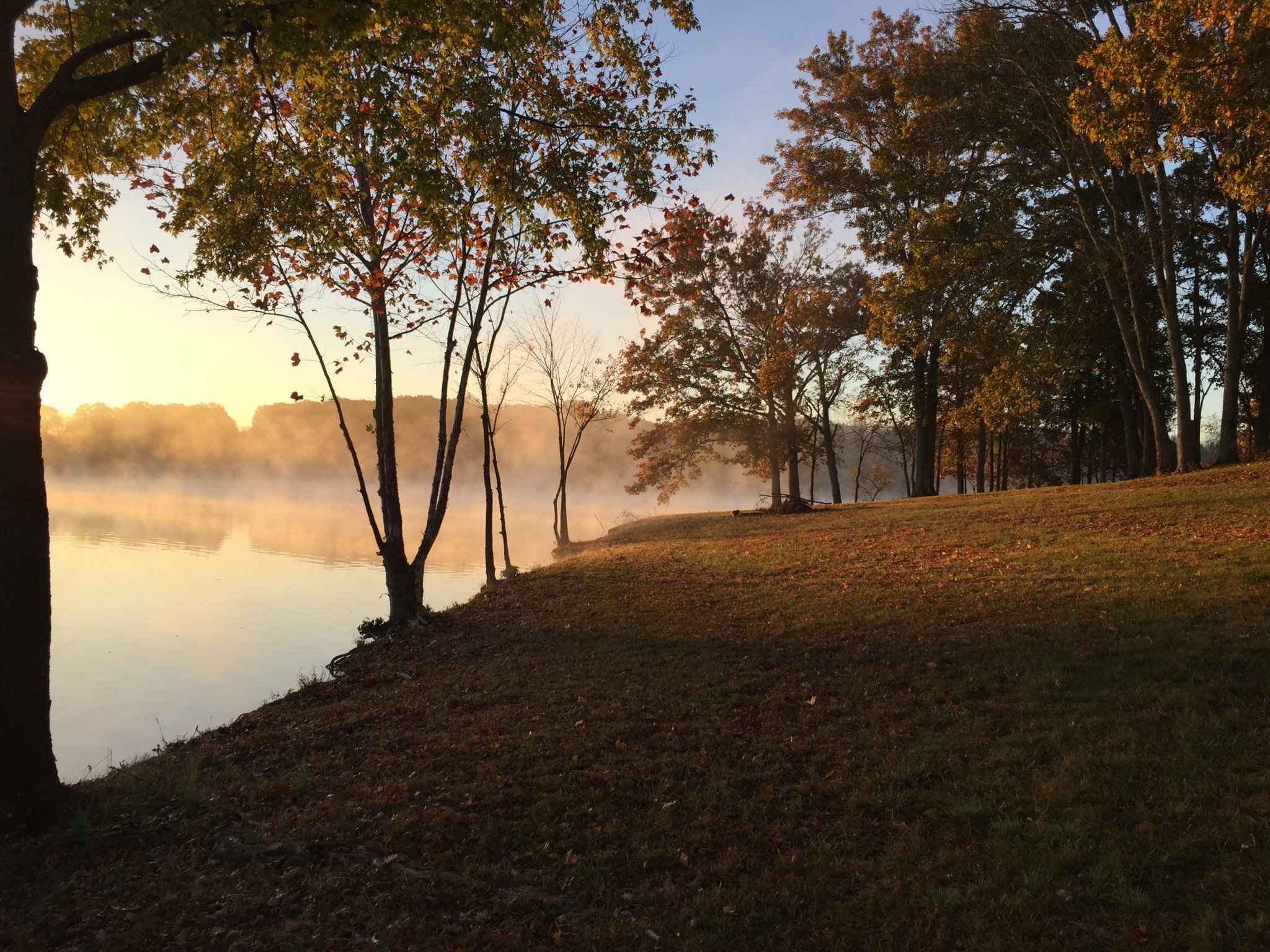 817 Burton Point Road Mount Juliet, TN 37122 - Photo 31 of 41 a view of road and trees