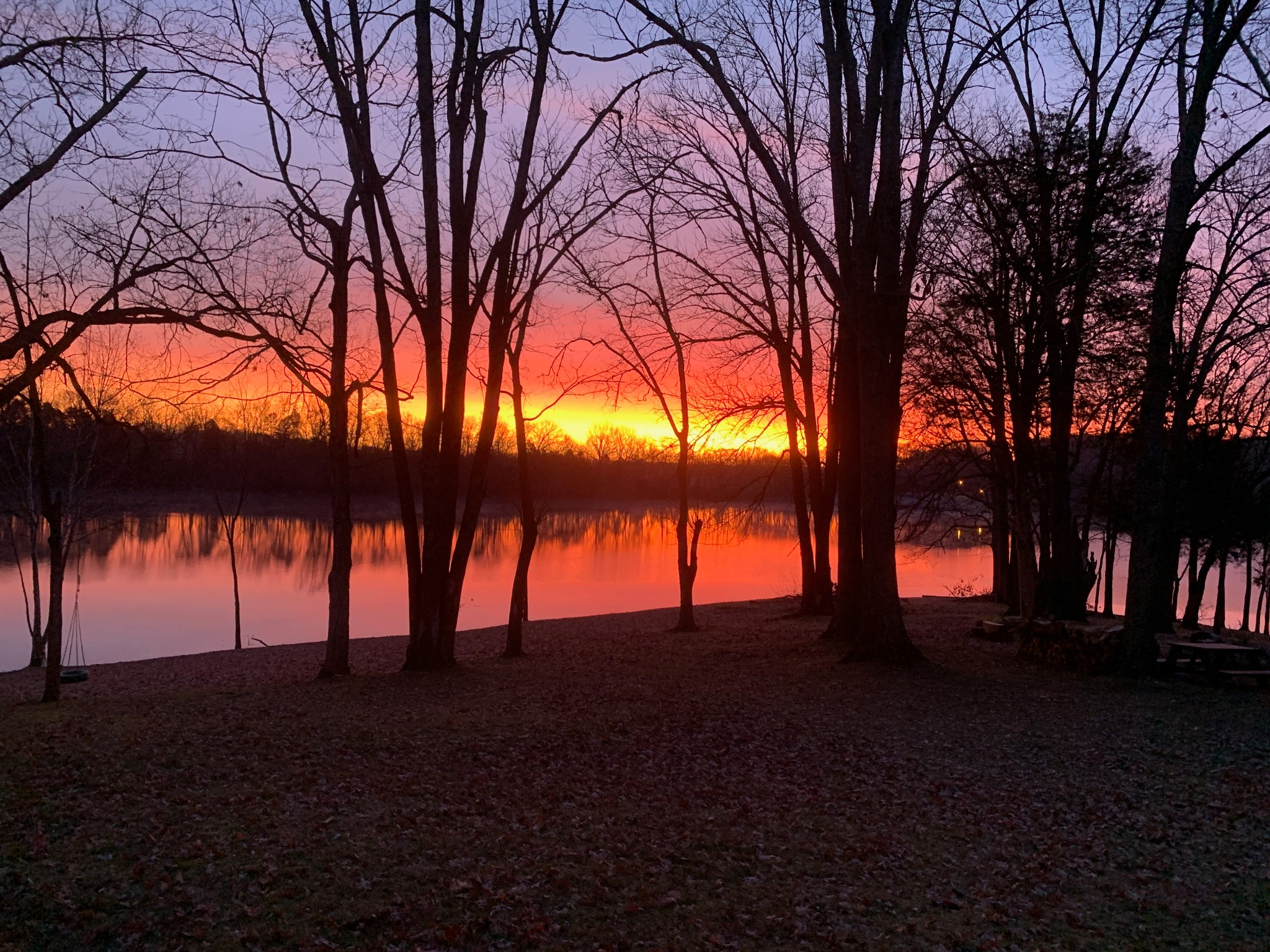 817 Burton Point Road Mount Juliet, TN 37122 - Photo 38 of 41 a view of outdoor space and yard