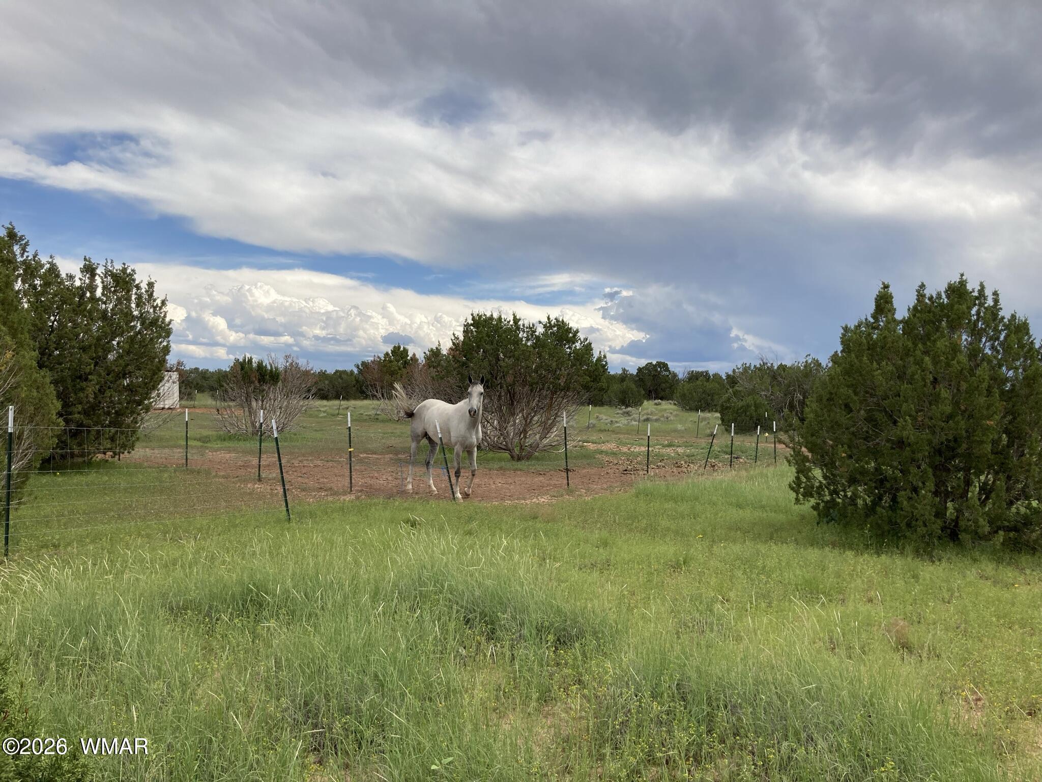4979 Tharp Road Snowflake, AZ 85937 - Photo 15 of 19