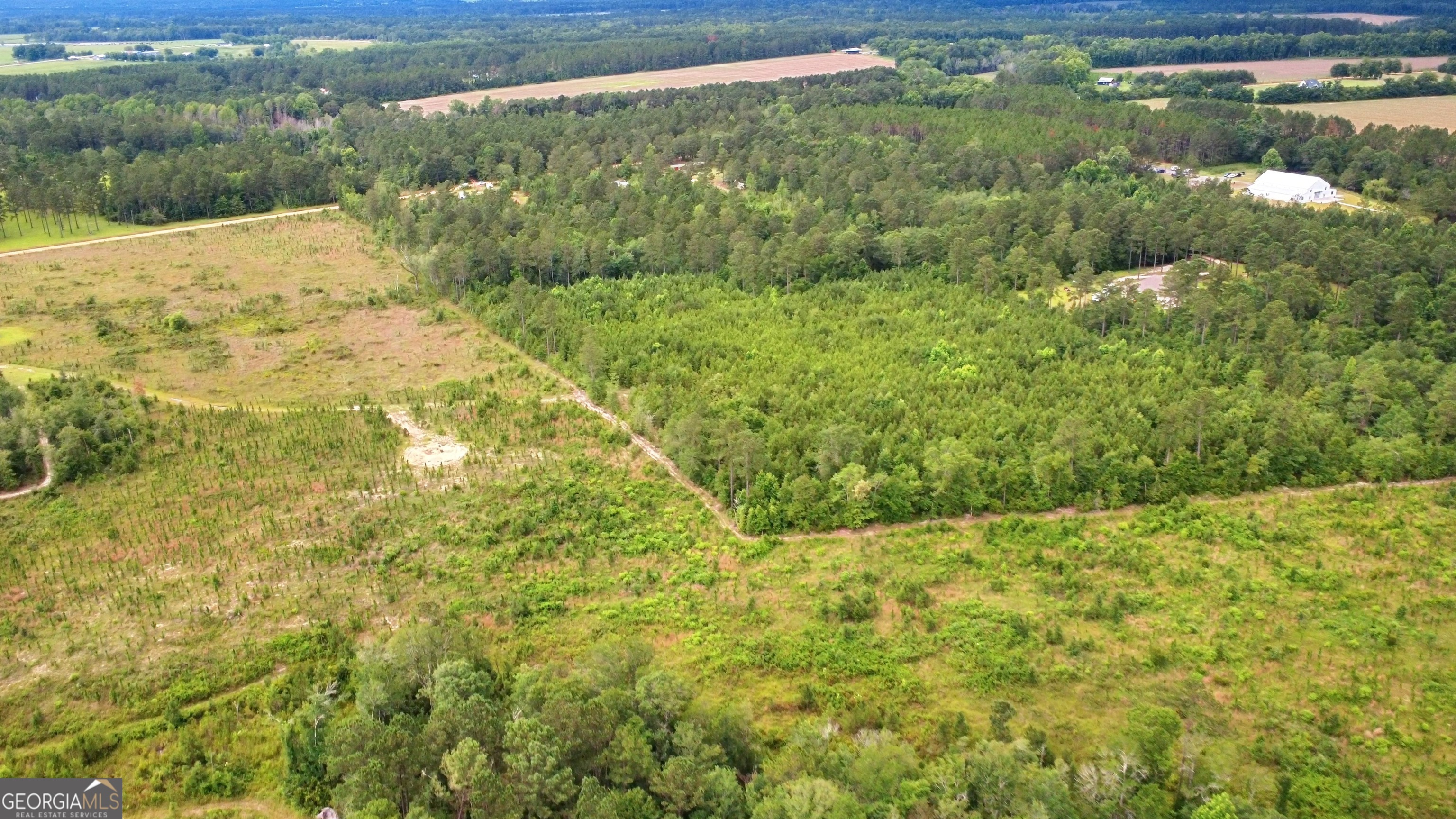 0 Moore Road South Register, GA 30452 - Photo 3 of 4 a view of a field with an ocean view