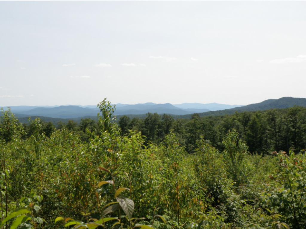 0 Hunger Mountain Worcester, VT 05682 - Photo 8 of 11