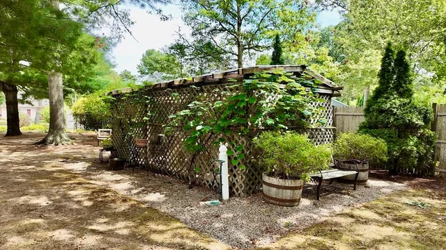a view of a backyard with table and chairs potted plants and large tree