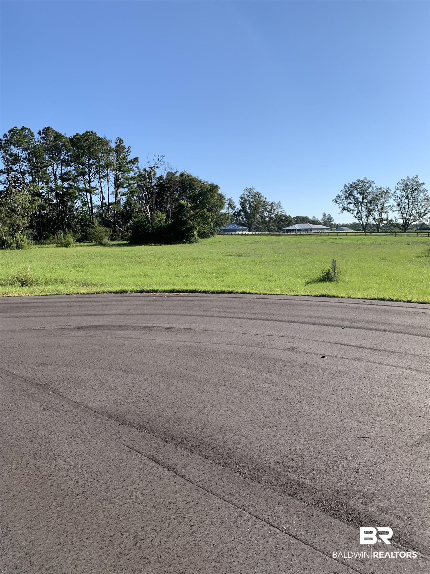 Lot 11 Highway 98 Elberta, AL 36530 - Photo 4 of 6