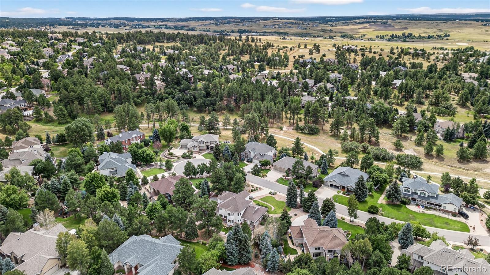 8389 Owl Roost Court Parker, CO 80134 - Photo 6 of 50 a view of a yard with wooden fence