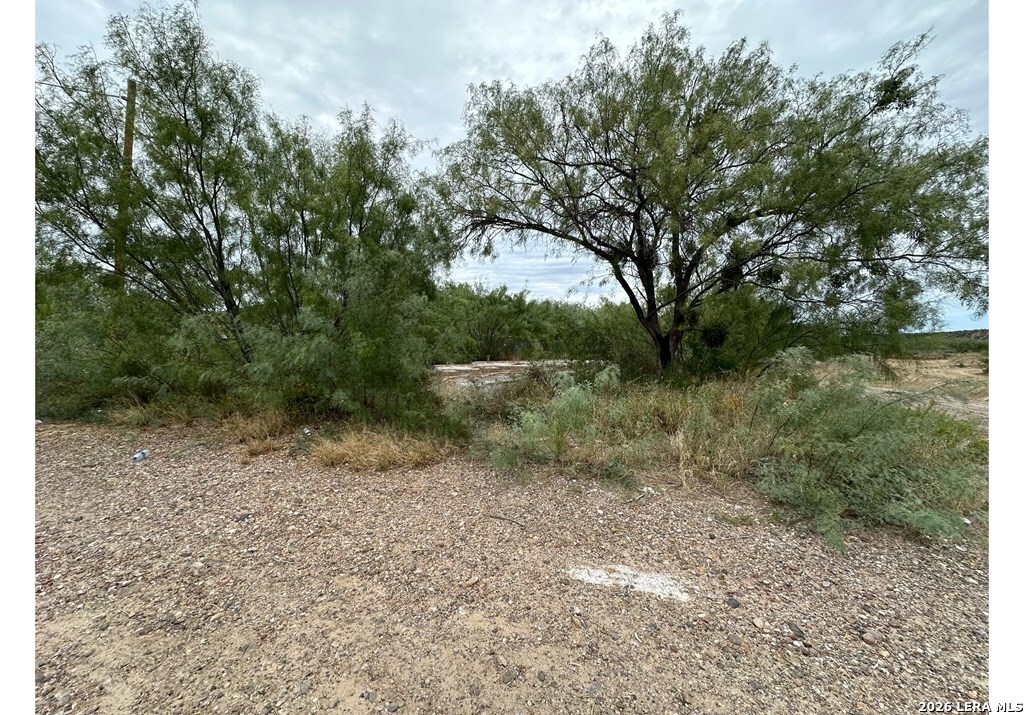 2662 Rodriguez Street Eagle Pass, TX 78852 - Photo 4 of 5 a view of a yard with a tree