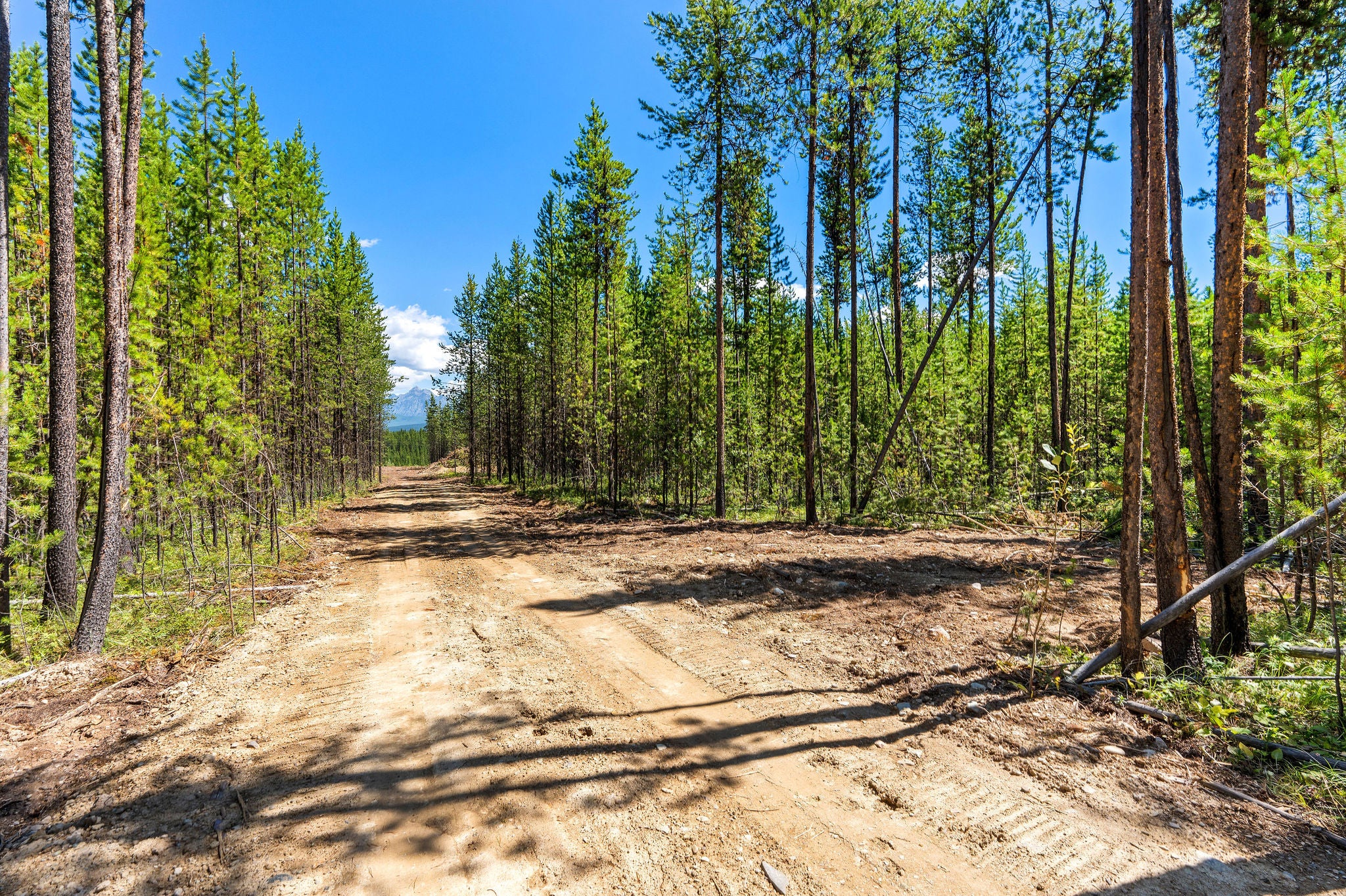 11680 North Fork Road Polebridge, MT 59928 - Photo 11 of 37 Gallery Image 11