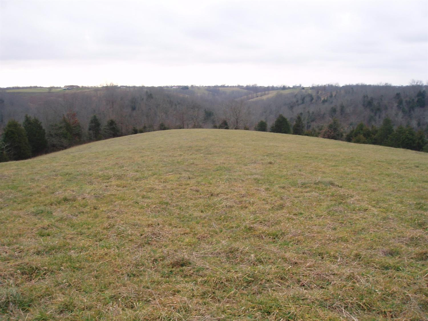 1446 Cook Ridge Road Brooksville, KY 41004 - Photo 4 of 22 Gallery Image 4