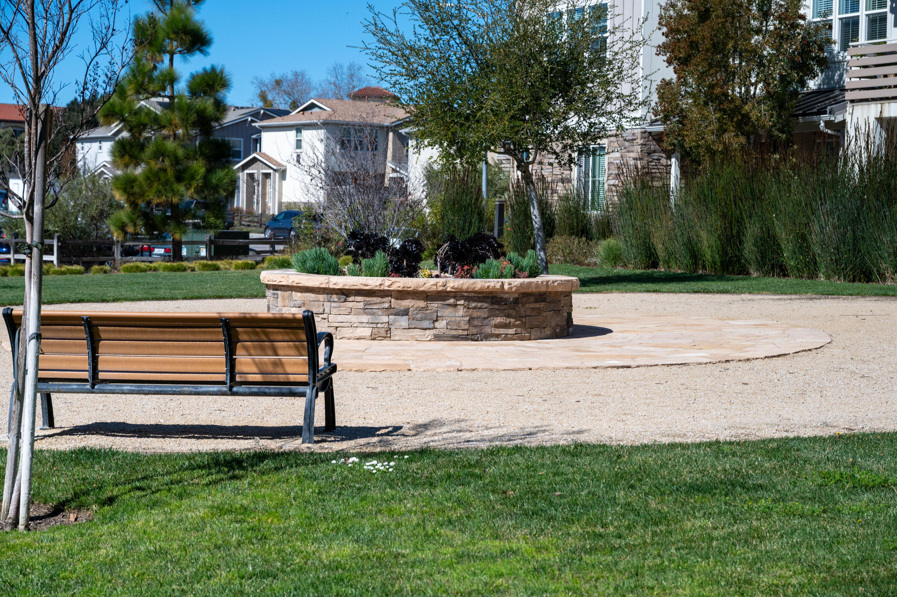246 Robles Way Buellton, CA 93427 - Photo 26 of 26 a view of a garden with plants