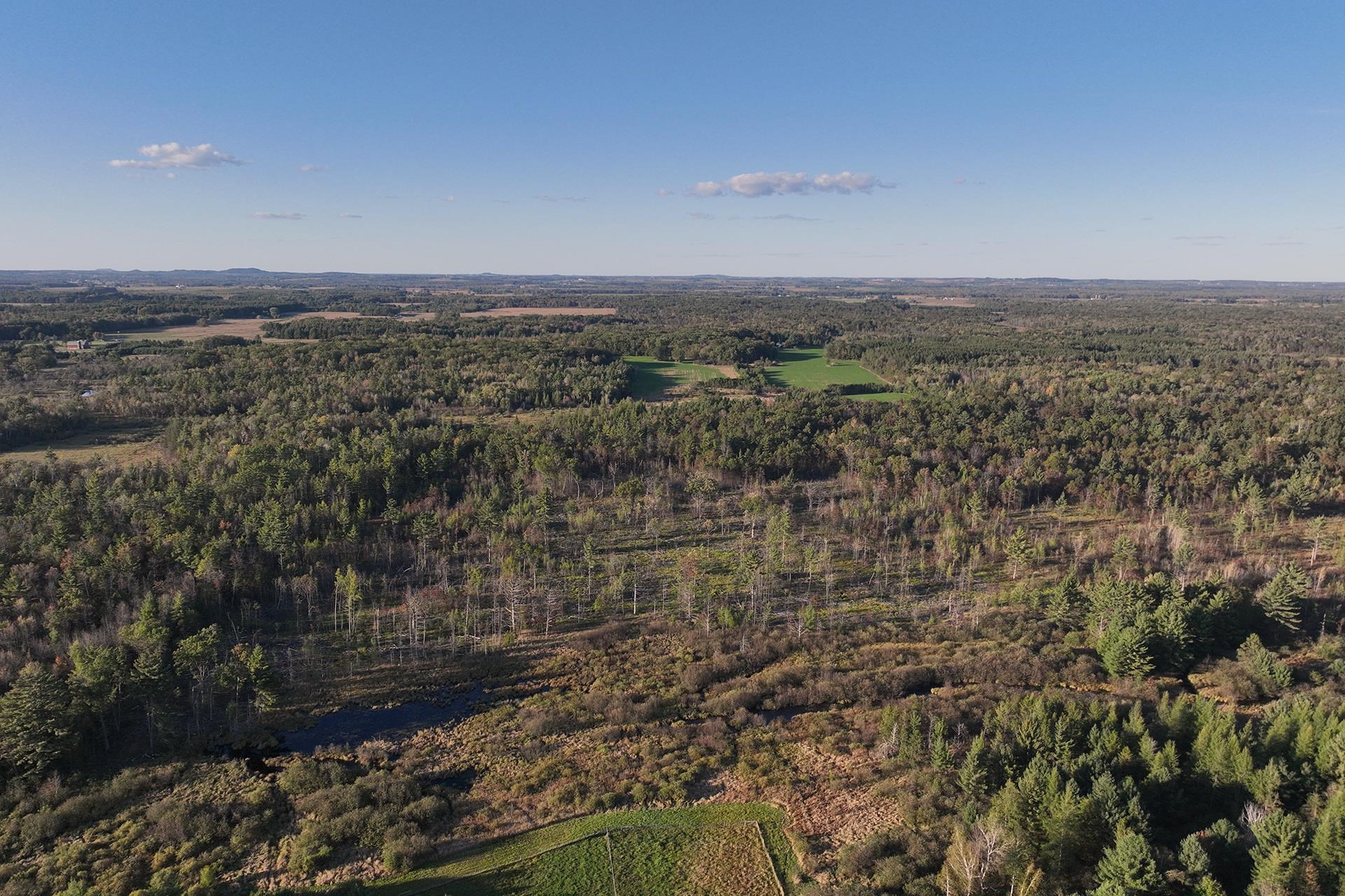 81-acres Anderson Road Neillsville, WI 54456 - Photo 14 of 38