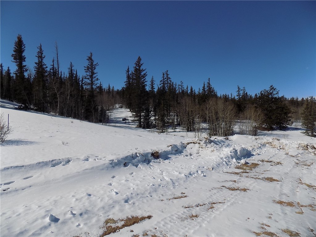 205 Long Rifle Way Como, CO 80432 - Photo 7 of 9 Gallery Image 7