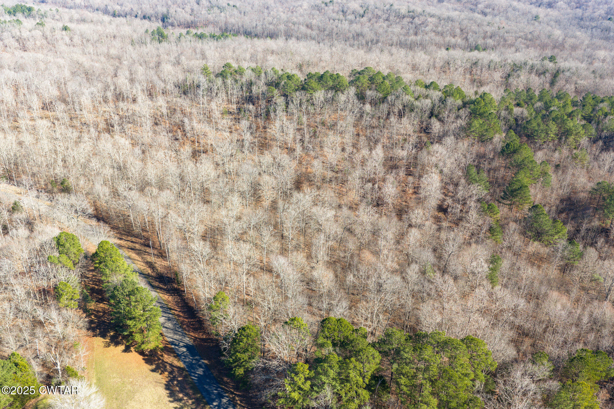 0 Holladay Road Parsons, TN 38363 - Photo 14 of 16 DJI_20251209123744_0163_D
