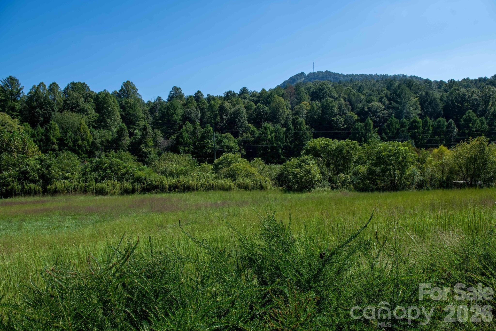 3305 Zacks Fork Road Lenoir, NC 28645 - Photo 27 of 48 Gallery Image 27