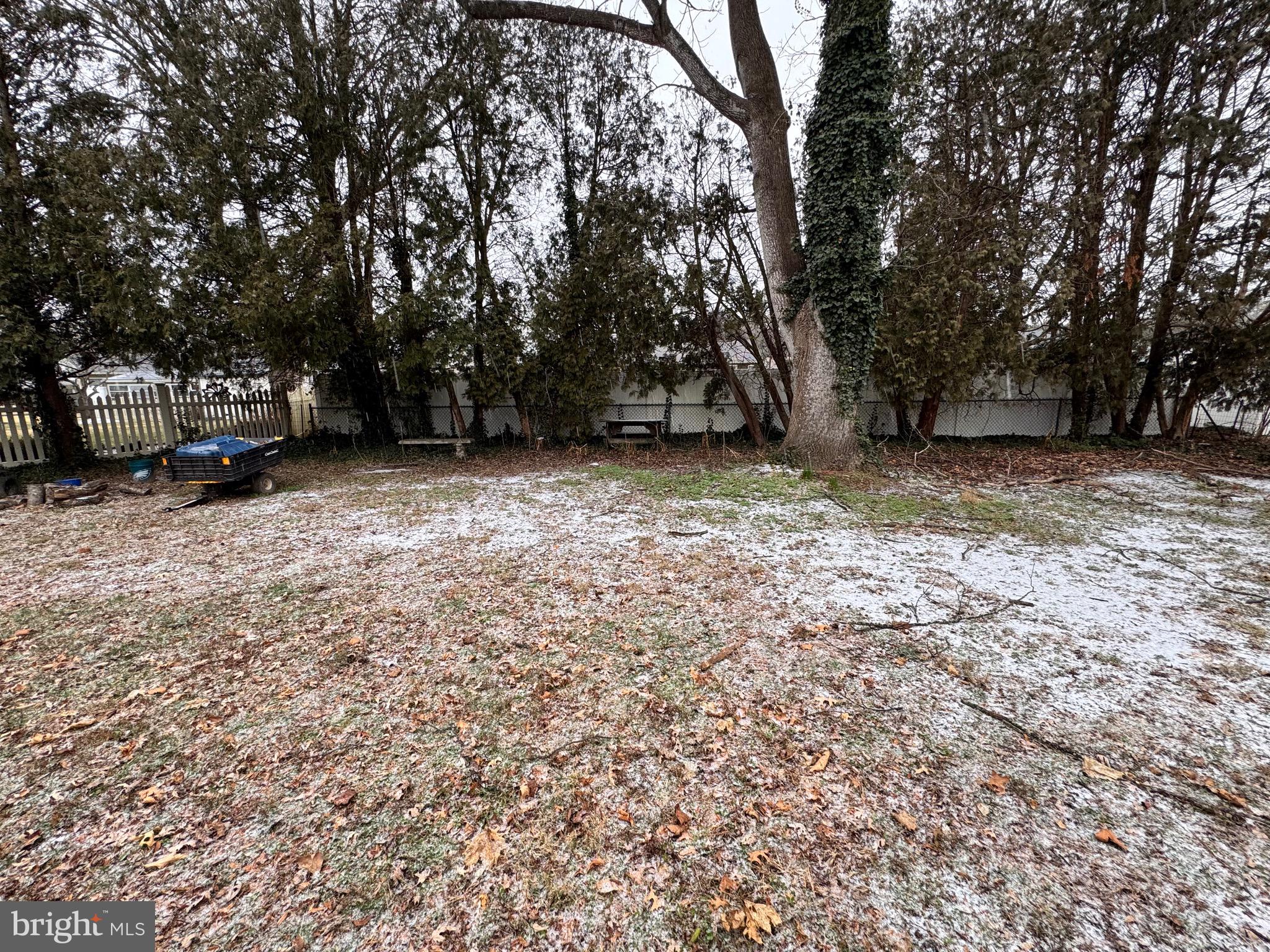 1286 Harding Road Vineland, NJ 08361 - Photo 14 of 40 a view of a yard with a trees
