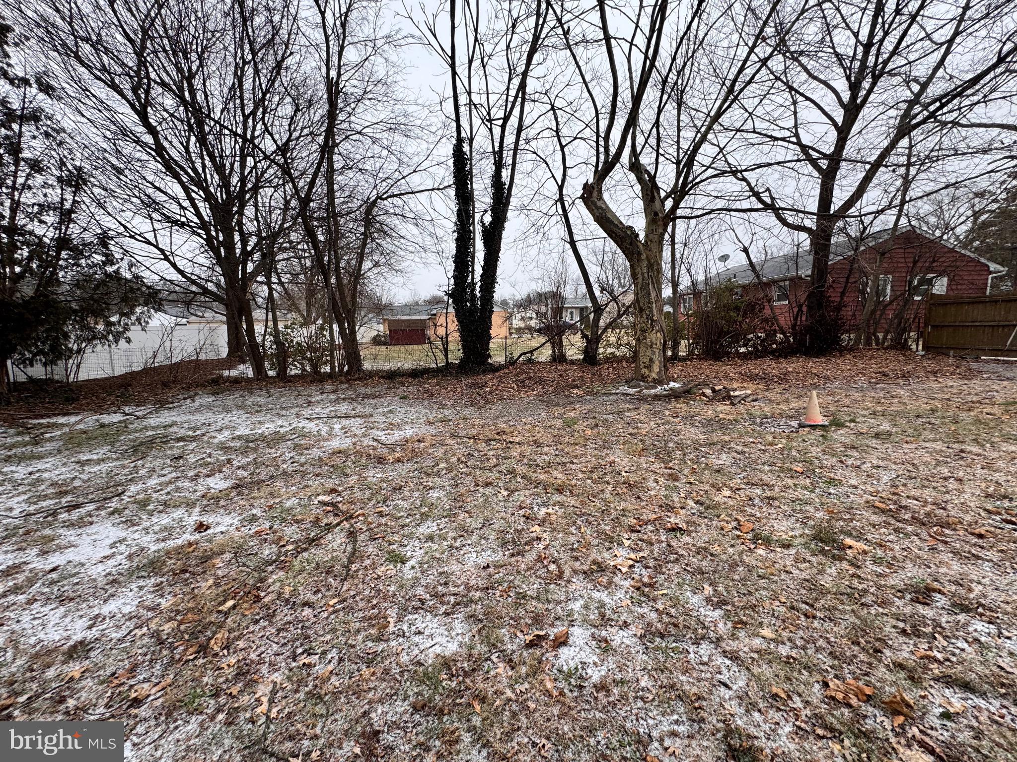 1286 Harding Road Vineland, NJ 08361 - Photo 17 of 40 a view of a yard with trees