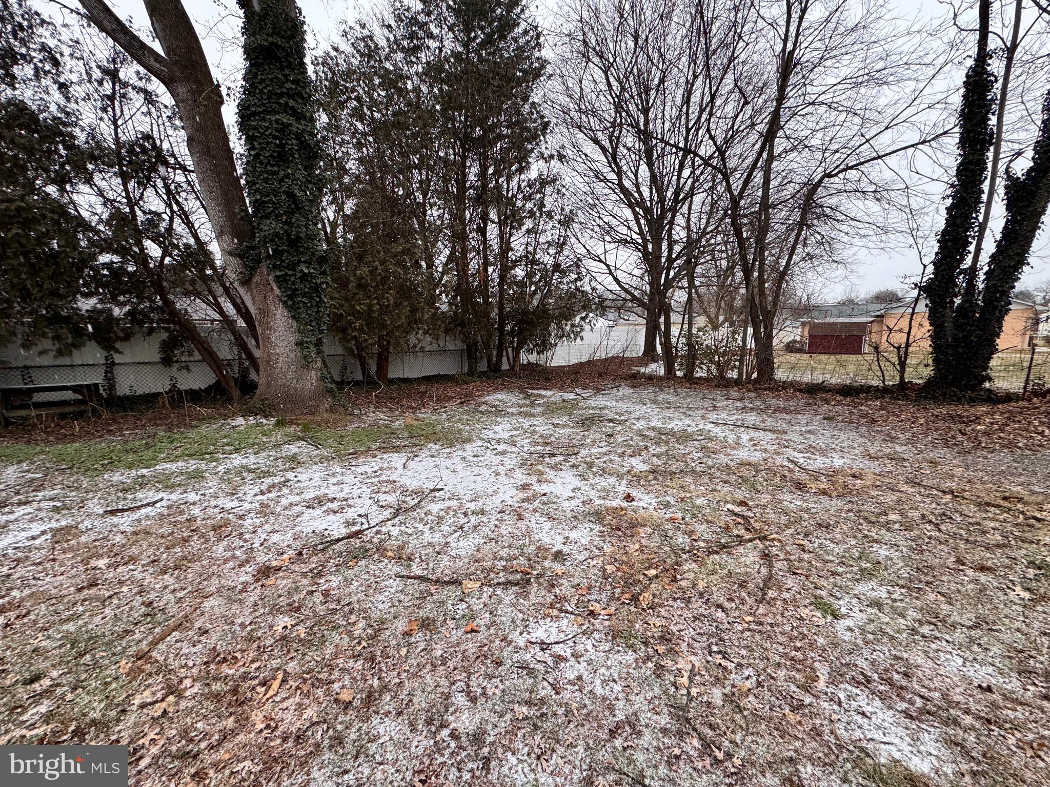 1286 Harding Road Vineland, NJ 08361 - Photo 18 of 40 a view of a yard with a tree