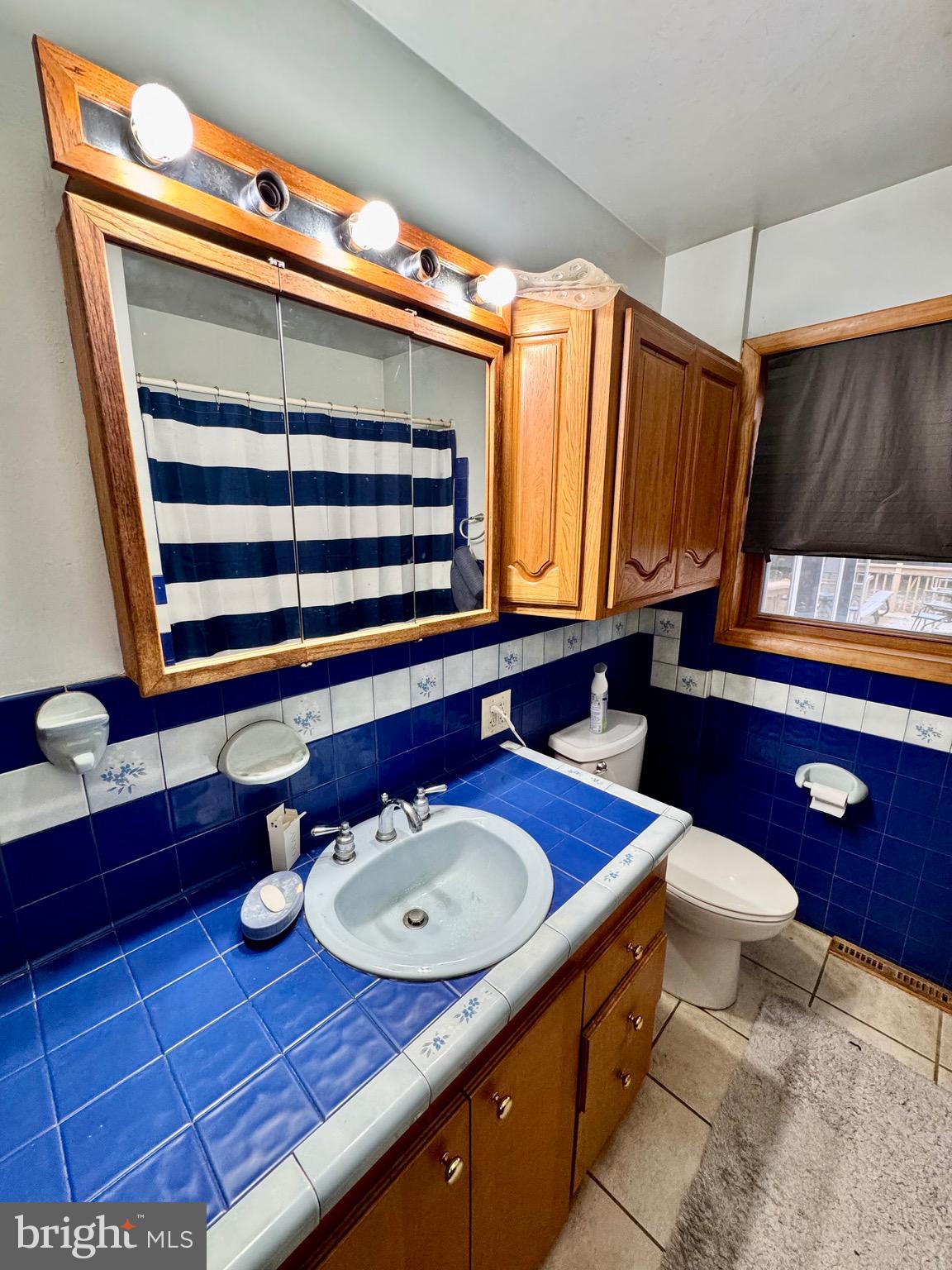 1286 Harding Road Vineland, NJ 08361 - Photo 27 of 40 a bathroom with a sink a toilet and mirror
