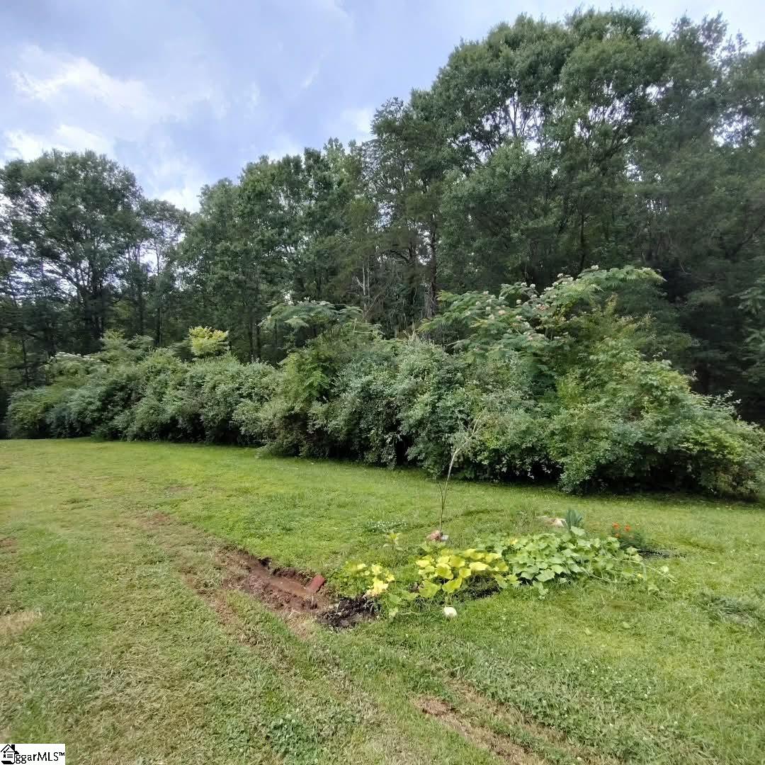 419 Wood Road Taylors, SC 29687 - Photo 12 of 18