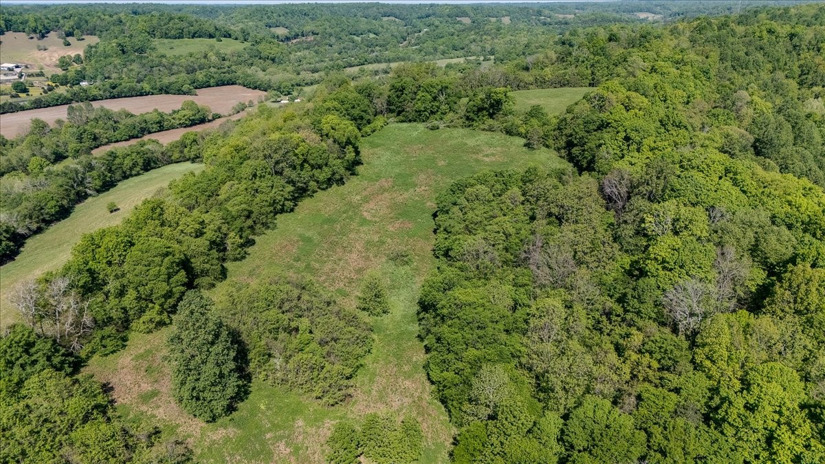 7480 Beech Hill Road Pulaski, TN 38478 - Photo 42 of 54