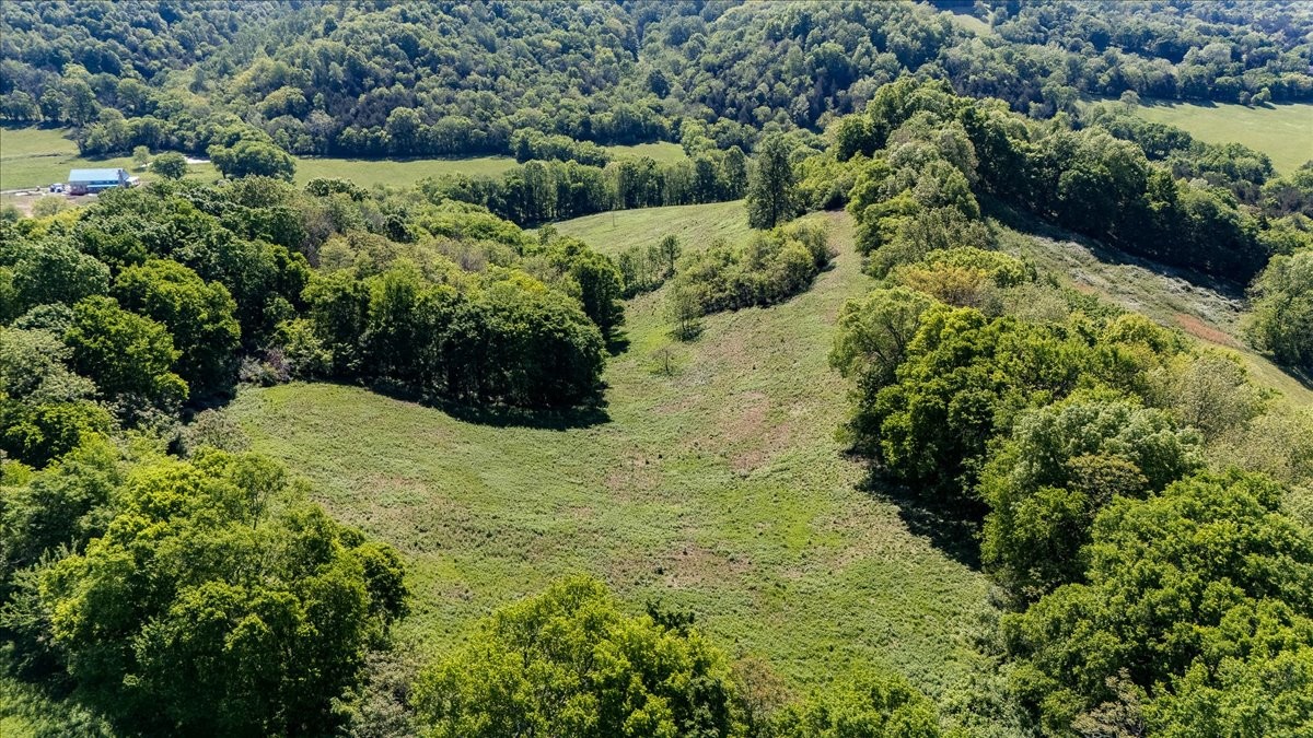 7480 Beech Hill Road Pulaski, TN 38478 - Photo 43 of 54 a view of a garden with a building